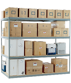 Low Profile Shelving Rivetier-1 – Space-Saving Storage - HOJ Innovations